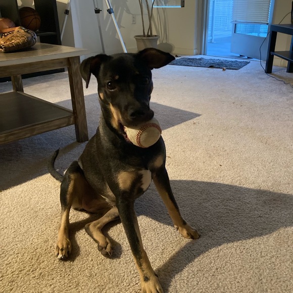 Meet your Posher, James - Picture 5 of 8